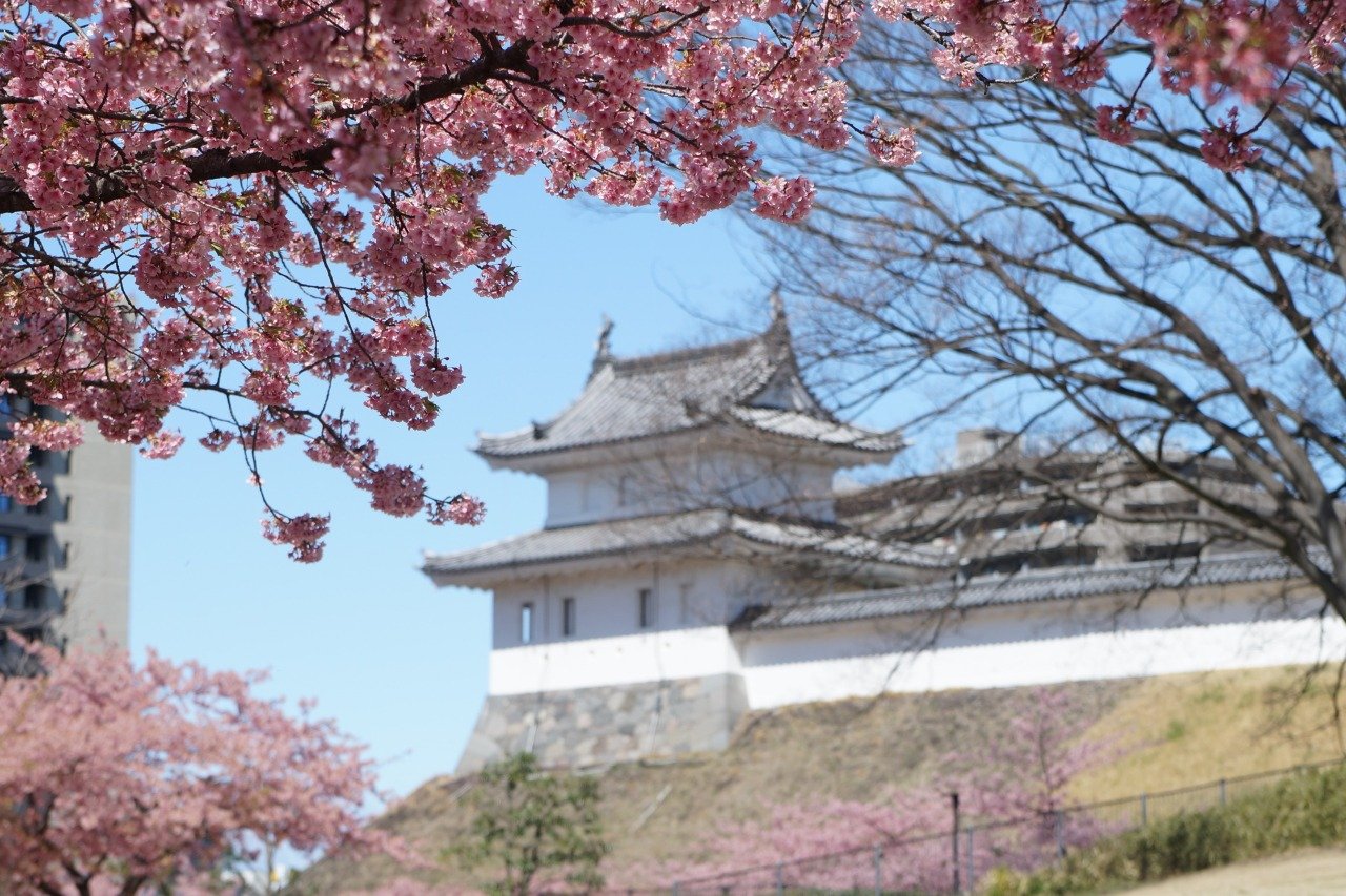 🏯 우쓰노미야 성터 공원(우쓰노미야조시코엔) 이미지 1